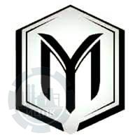 Yani-Motors - логотип компании